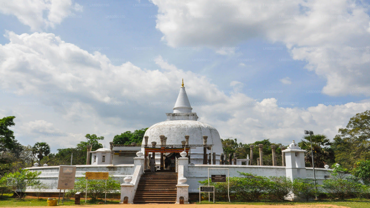 Heliga staden Anuradhapura från Dambulla