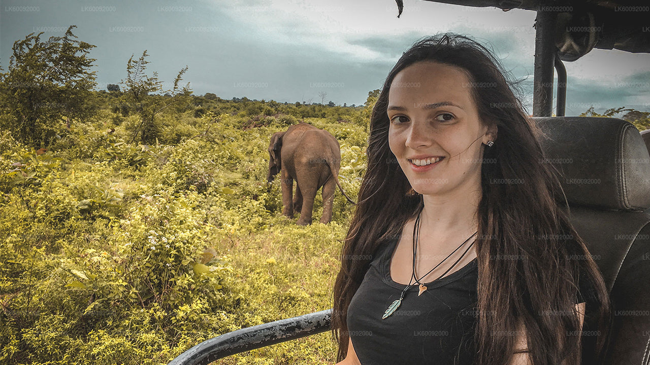 Udawalawe nationalpark Safari från Ella