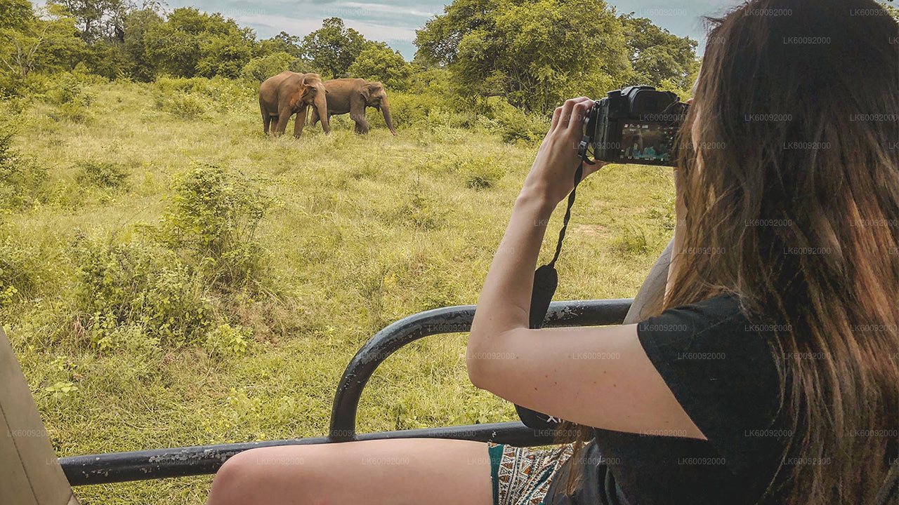 Udawalawe nationalpark Safari från Ella