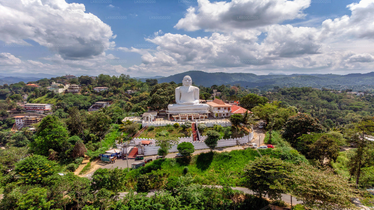 Kandy City Tour from Bentota