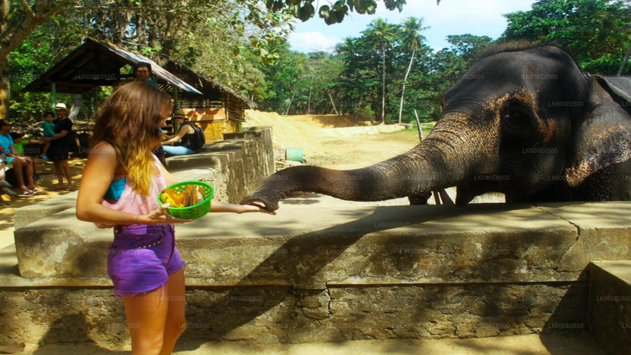 Pinnawala Elephant Orphanage from Beruwala