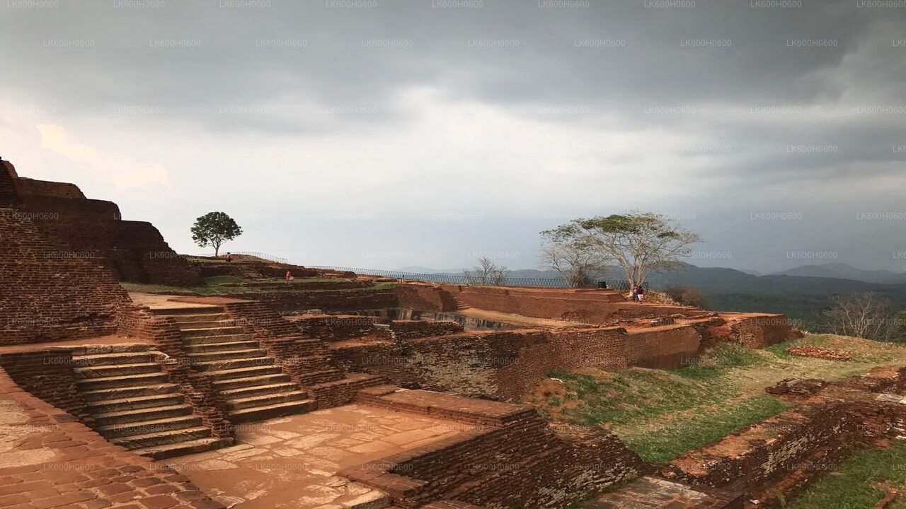 Sigiriya och Dambulla från Colombo