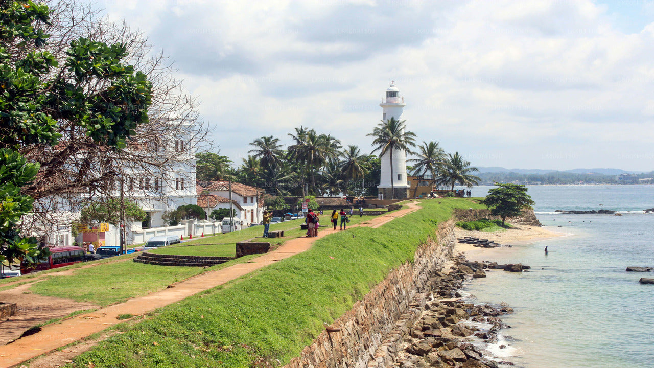 Virgin White Tea Factory och Galle Fort från Colombo