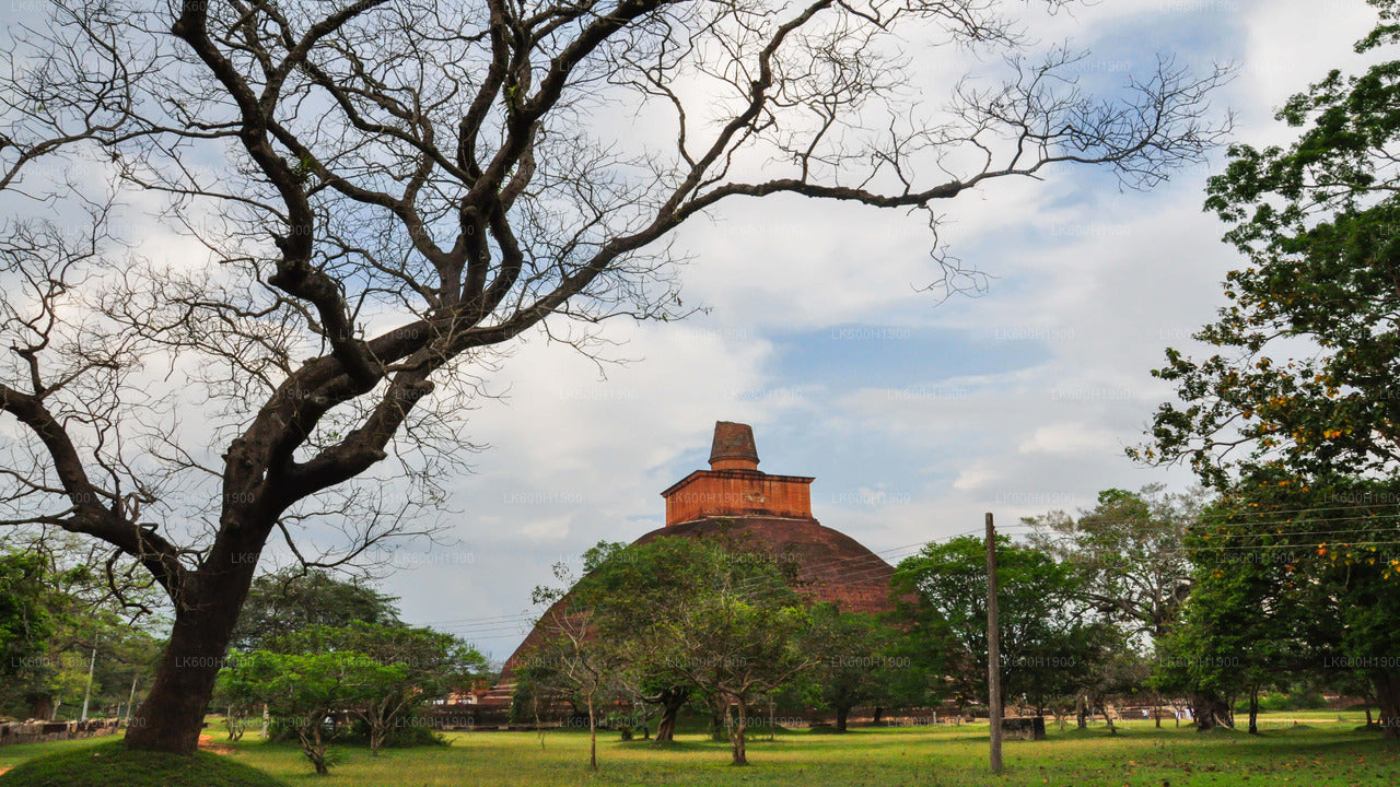 Heliga staden Anuradhapura från Colombo
