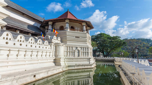 Kandy City Tour och Millennium Elephant Foundation Besök från Colombo