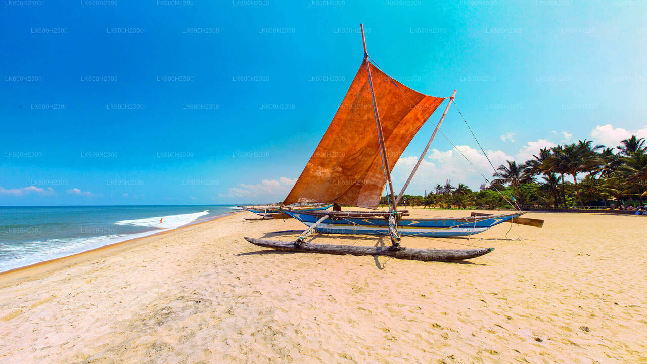 Negombo City Tour from Colombo Seaport