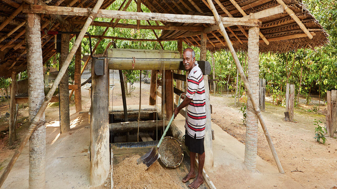 Explore Gem Mines in Ratnapura from Colombo