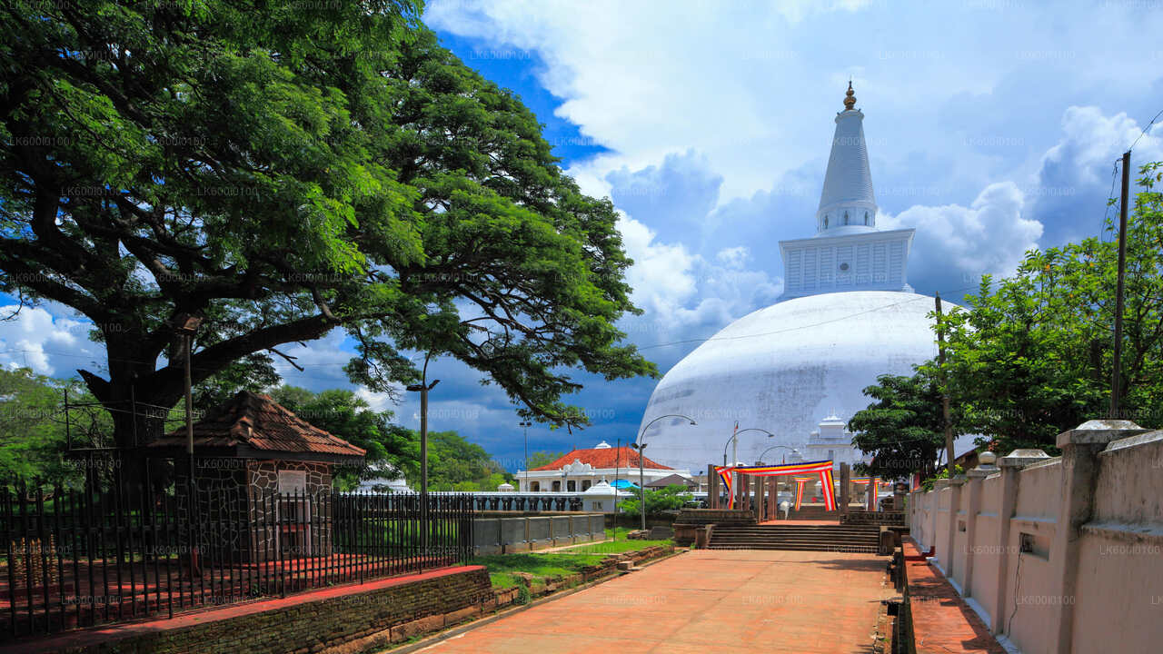 Heliga staden Anuradhapura från Dambulla