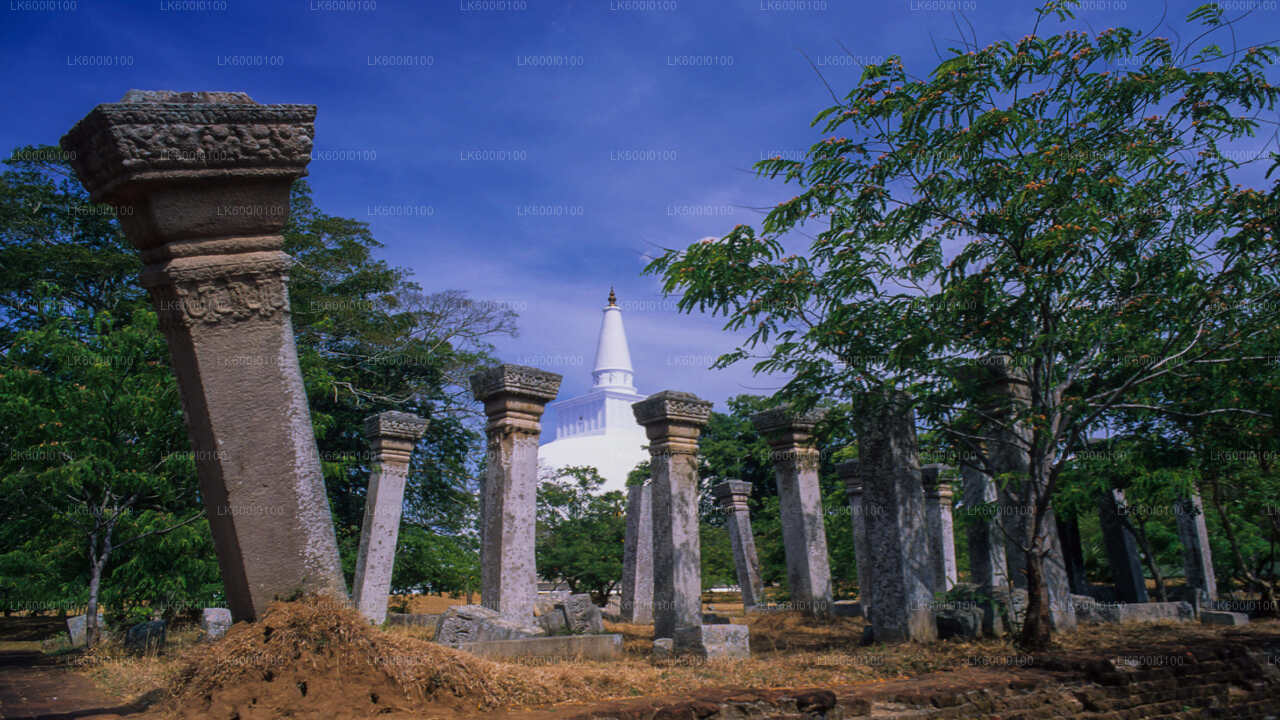 Heliga staden Anuradhapura från Dambulla