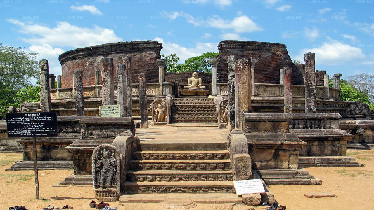 Polonnaruwa Ancient Kingdom och Wild Elephant Safari från Dambulla