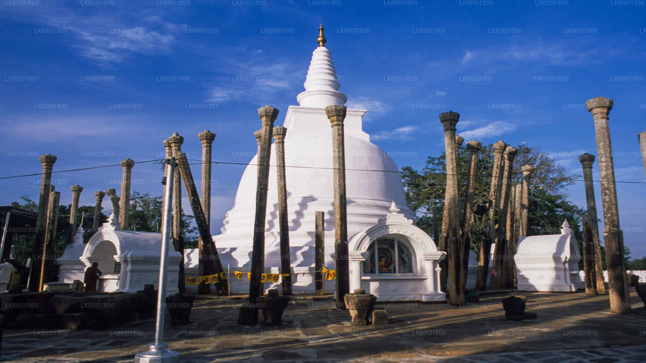 Anuradhapura Buddhist Icons Tour från Dambulla