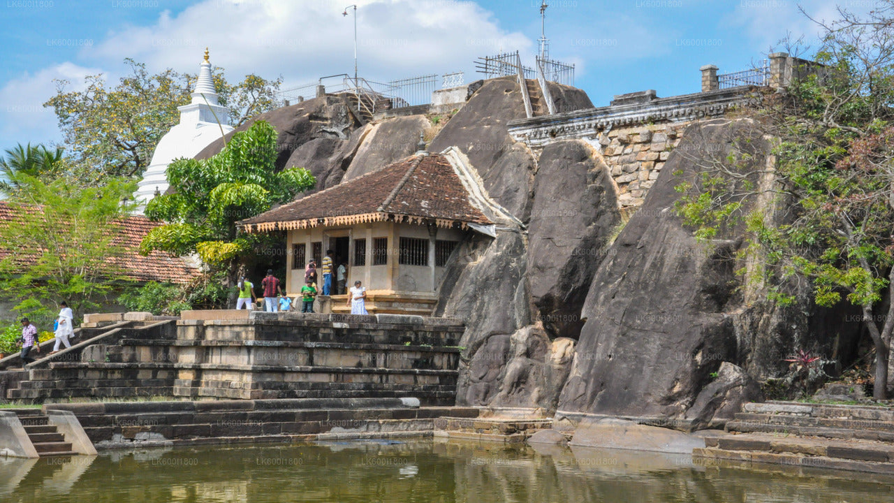 Anuradhapura Buddhist Icons Tour från Dambulla