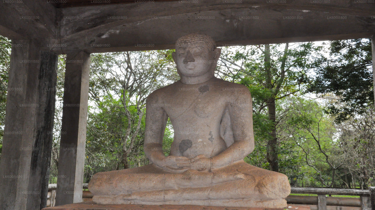 Anuradhapura Buddhist Icons Tour från Dambulla