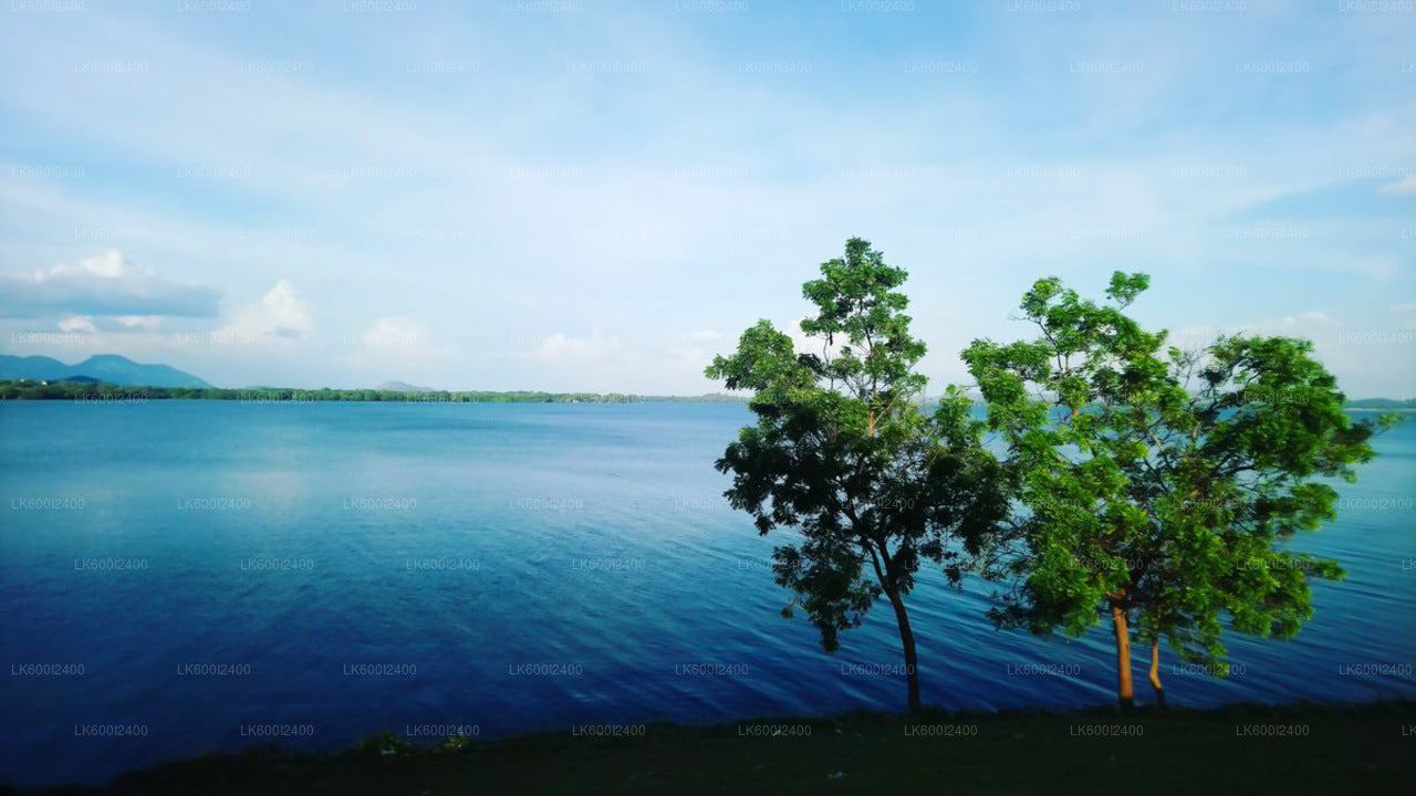 Ritigala, Kala Wewa and Namal Uyana from Dambulla