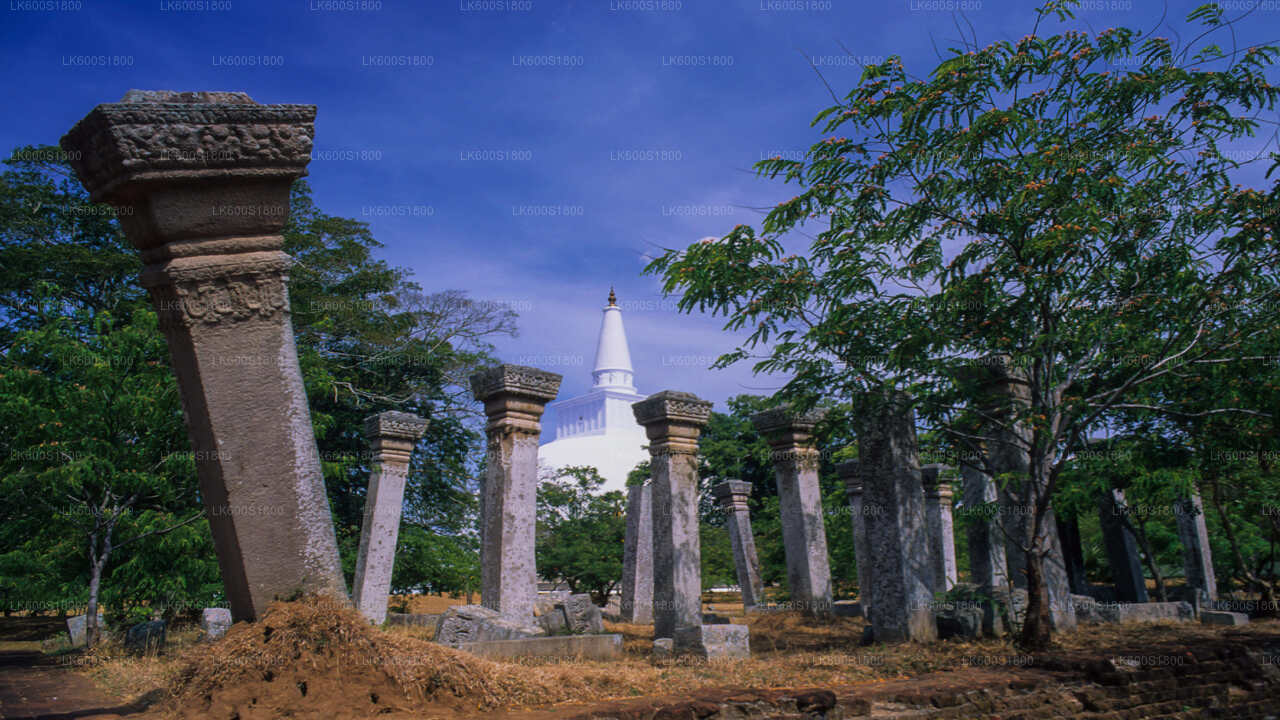 Anuradhapura Buddhist Icons Tour from Habarana