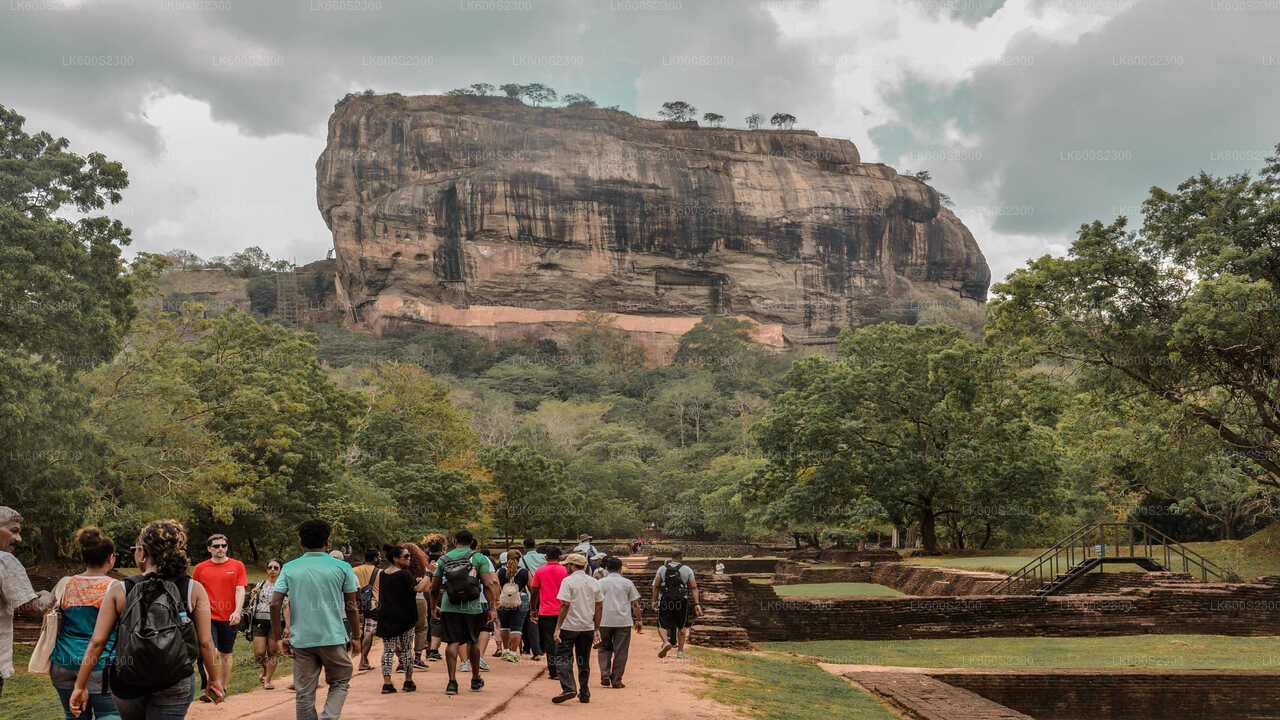 Sigiriya Rock and Countryside from Habarana