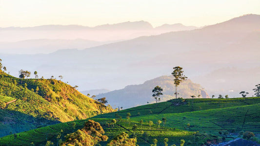 Centrala högländerna Peak Point från Kandy