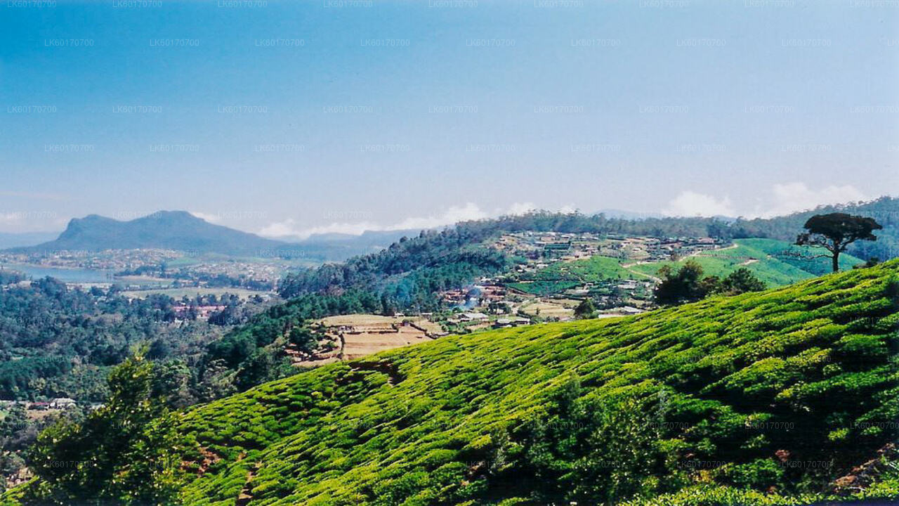 Centrala högländerna Peak Point från Kandy