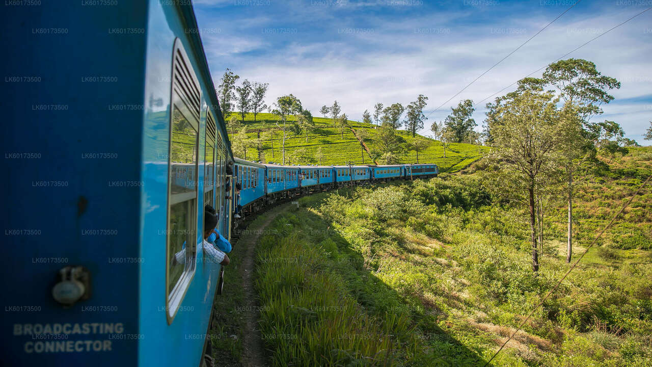 Naturskön tågresa till Ella från Kandy