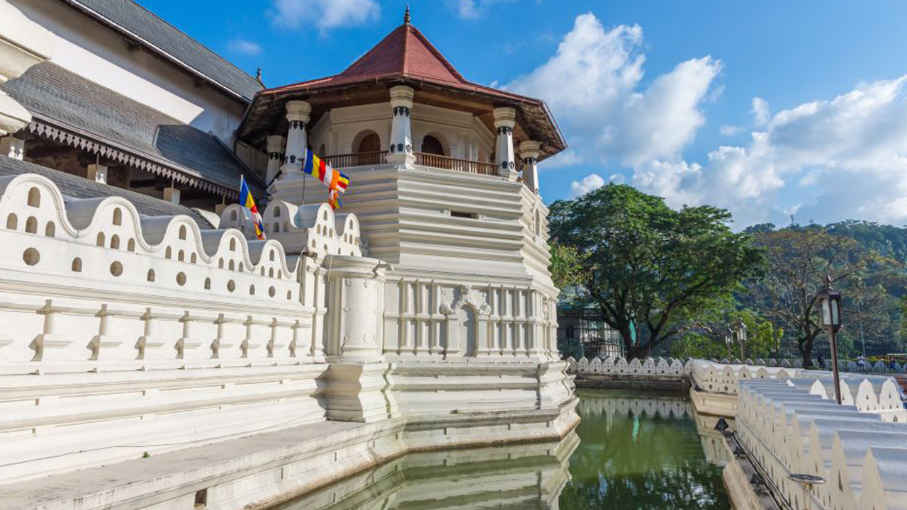 Pinnawala och Kandy Tour från Colombo