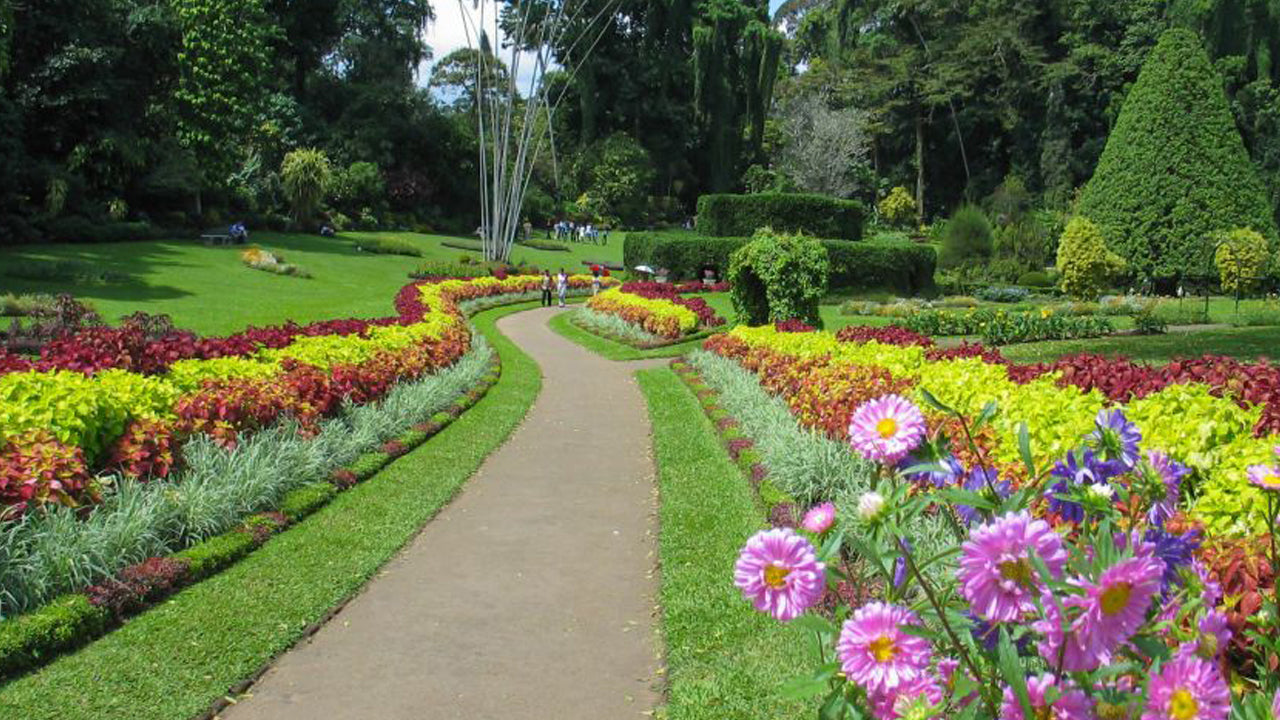 Pinnawala och Kandy Tour från Colombo