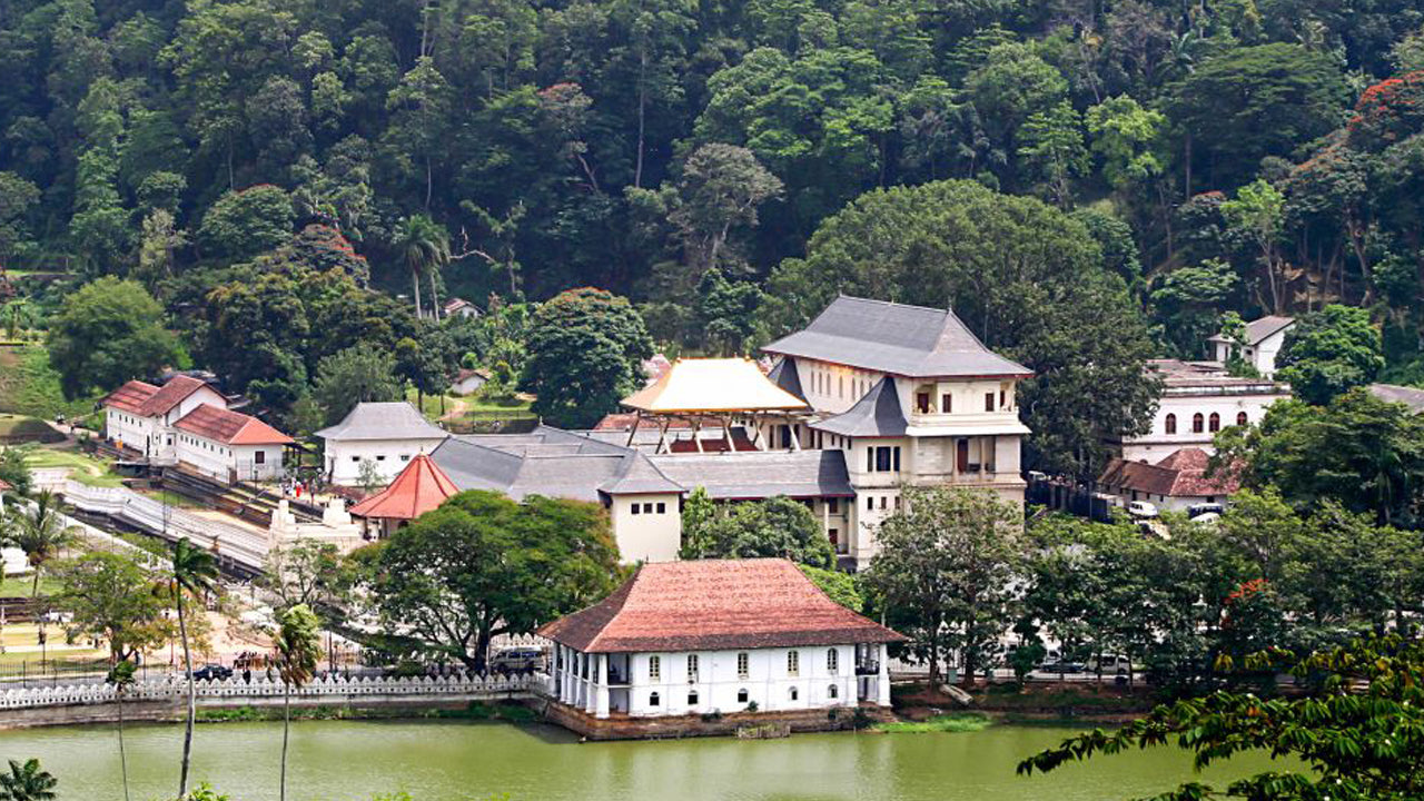 Pinnawala och Kandy Tour från Colombo