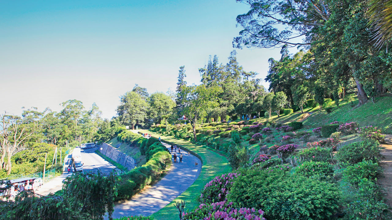 Pinnawala och Kandy Tour från Colombo