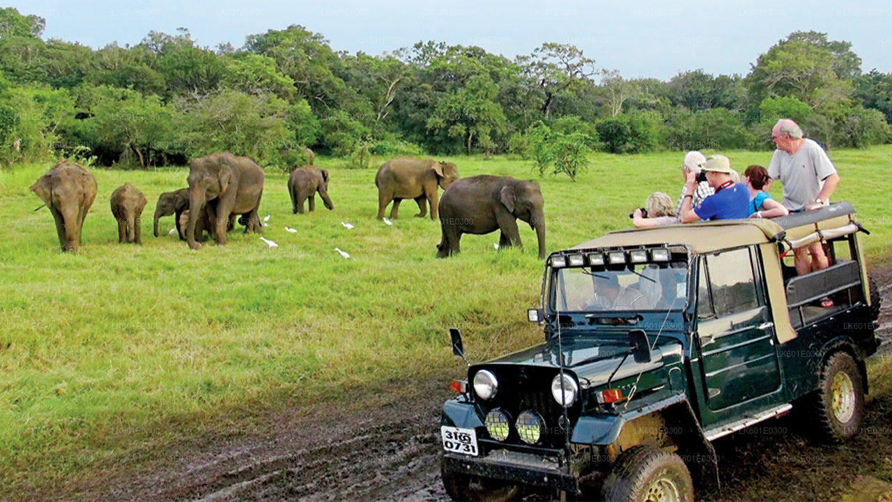 Bundala National Park Safari från Koggala