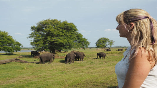 Sigiriya Rock och Wild Elephant Safari från Negombo