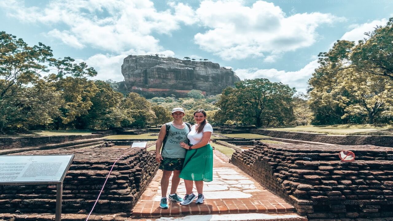 Sigiriya Rock och Wild Elephant Safari från Negombo