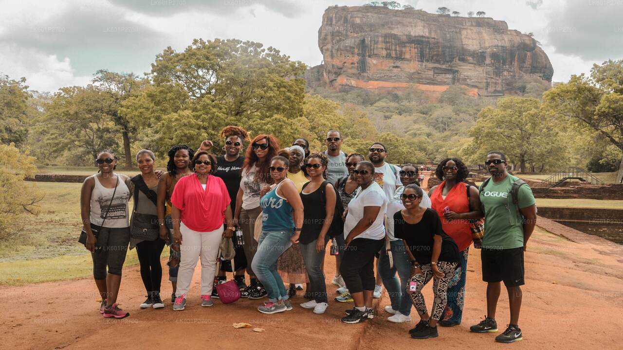 Sigiriya Rock och Wild Elephant Safari från Negombo