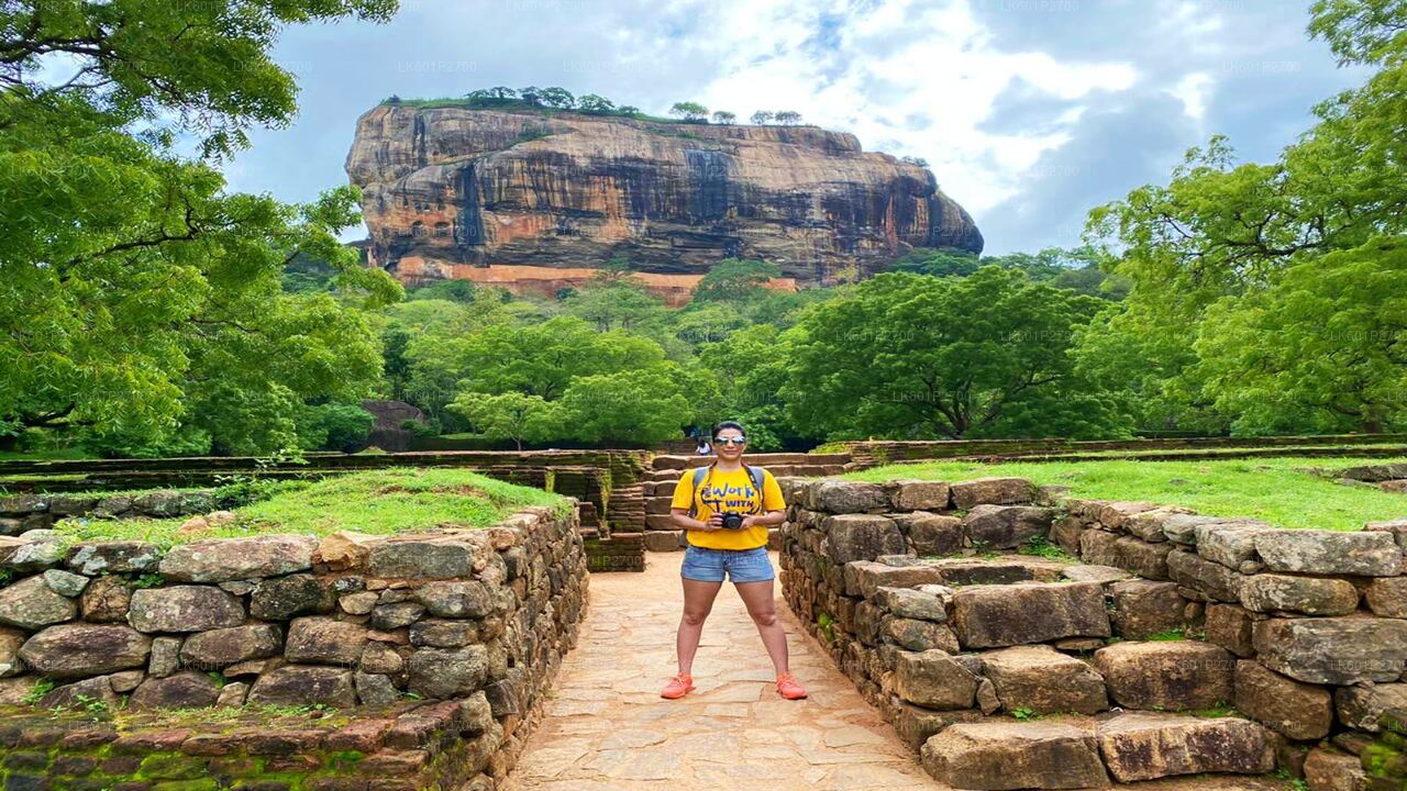 Sigiriya Rock och Wild Elephant Safari från Negombo