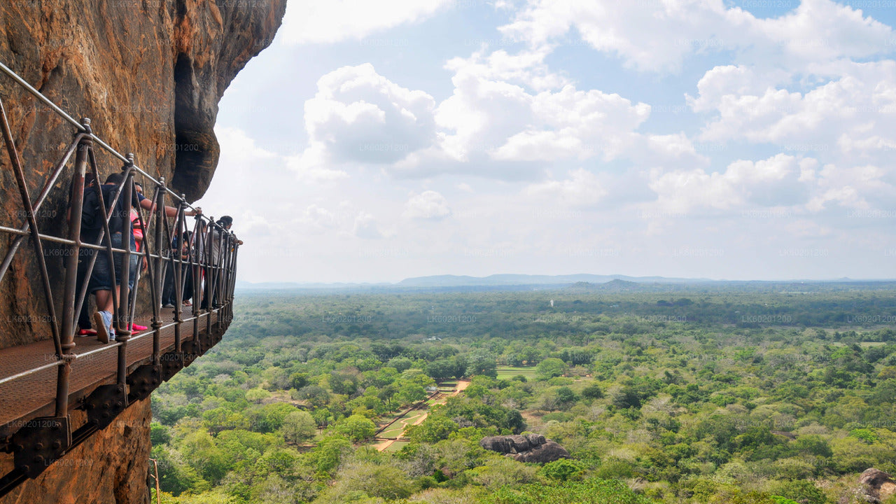 Sigiriya Rock och Wild Elephant Safari från Sigiriya