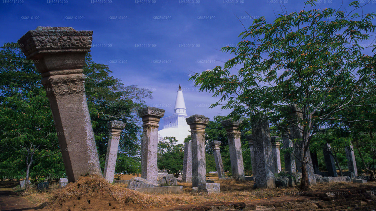 Sacred City of Anuradhapura from Sigiriya