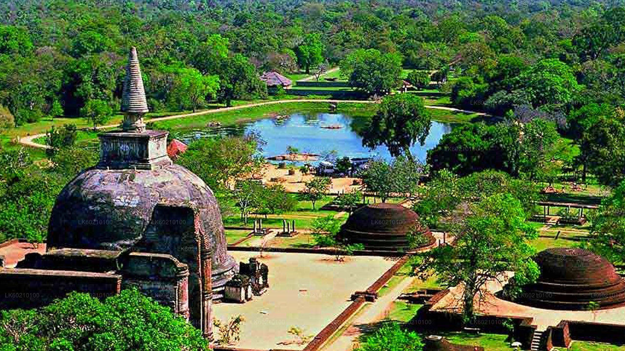 Sacred City of Anuradhapura from Sigiriya