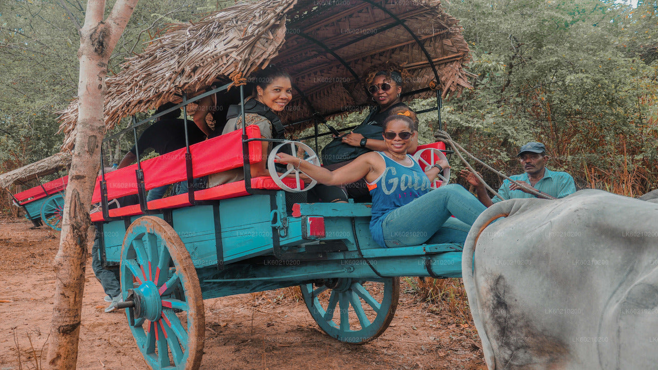 Sigiriya Village Tour och Lunch