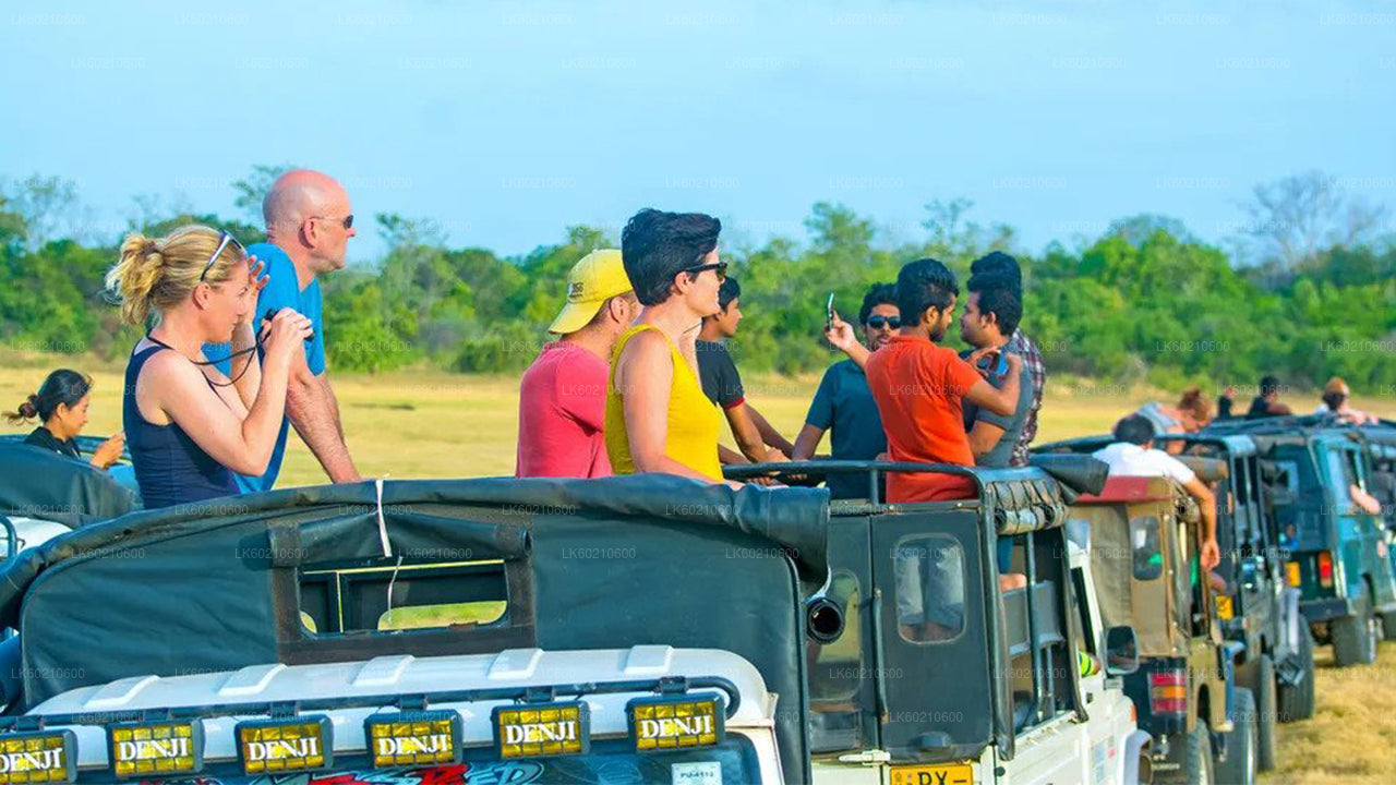 Bundala National Park Safari från Tangalle