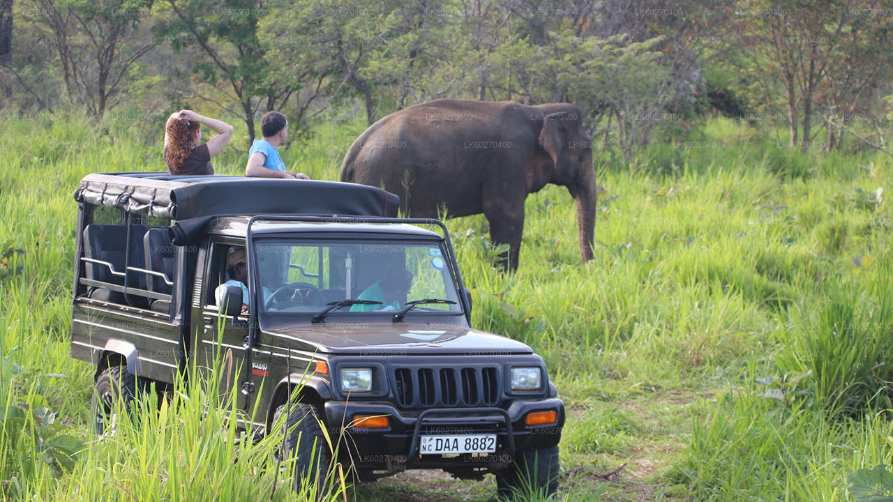 Udawalawe National Park Safari från Dikwella