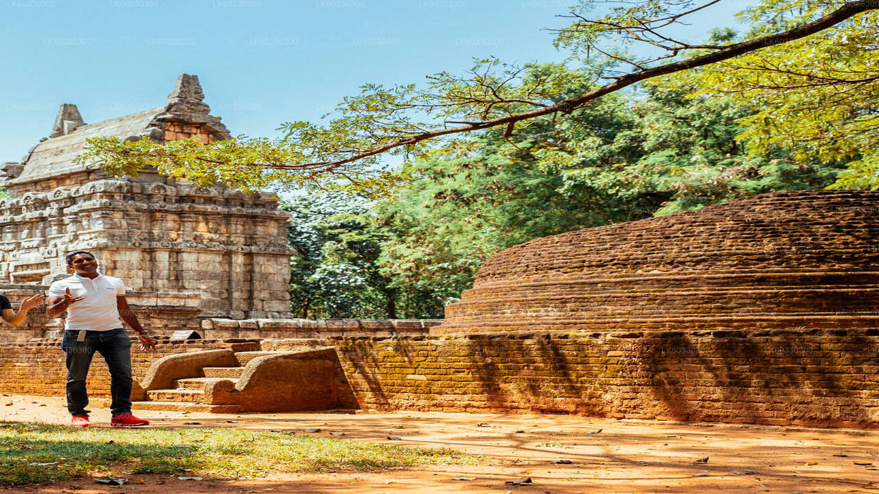 Sigiriya och Dambulla från Colombo