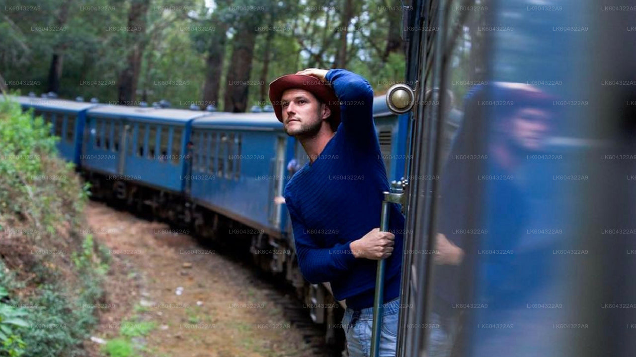 Scenic Train Ride to Nanu Oya from Kandy