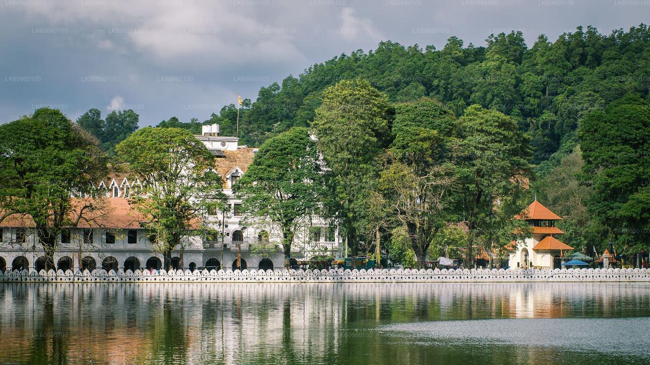 Kandy City Tour from Mount Lavinia