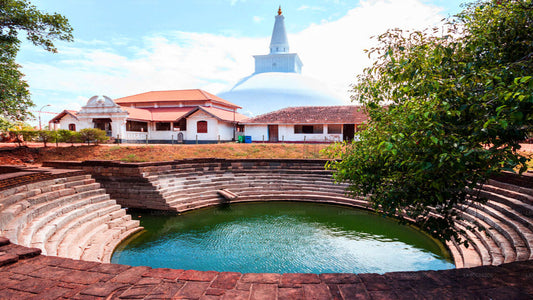 Sacred City of Anuradhapura from Mount Lavinia