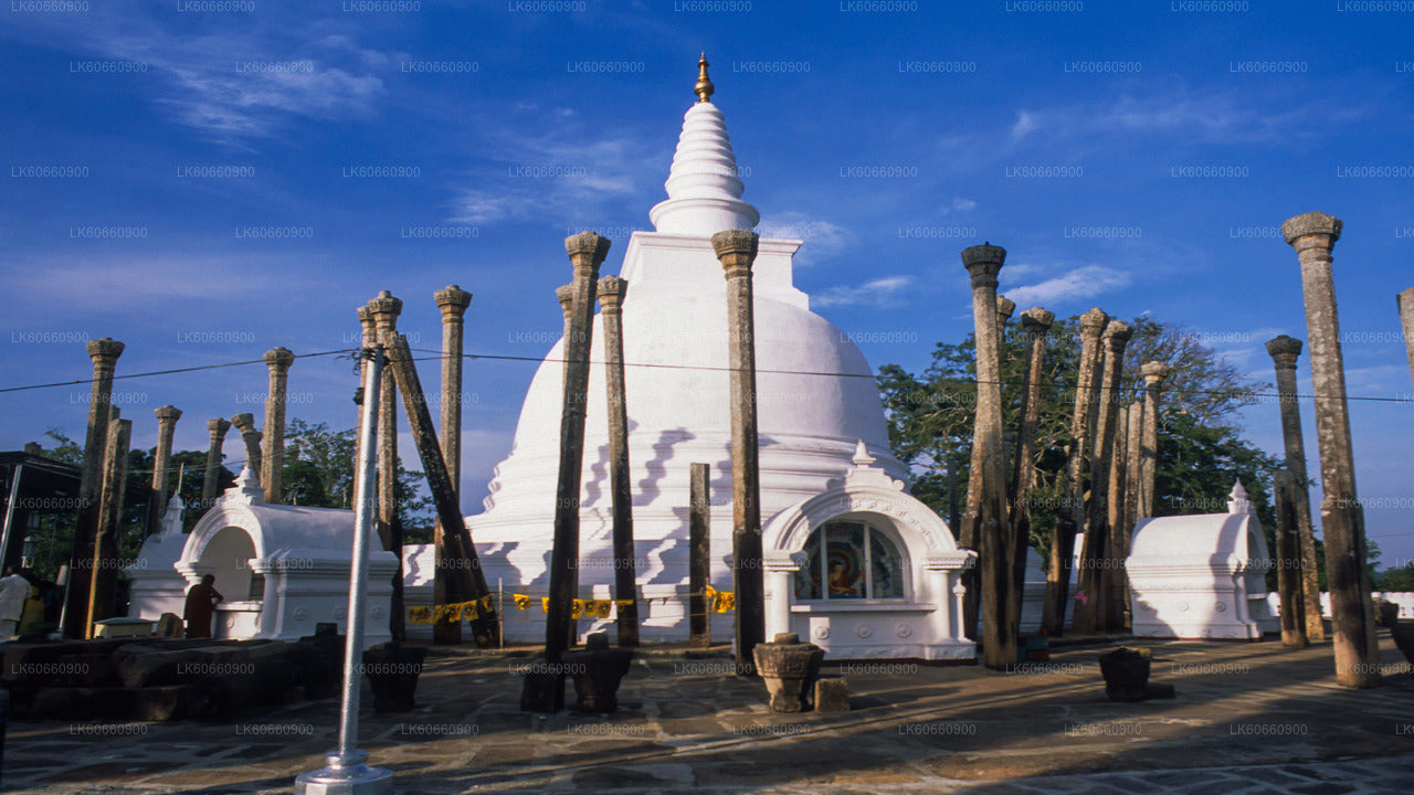 Sacred City of Anuradhapura from Mount Lavinia