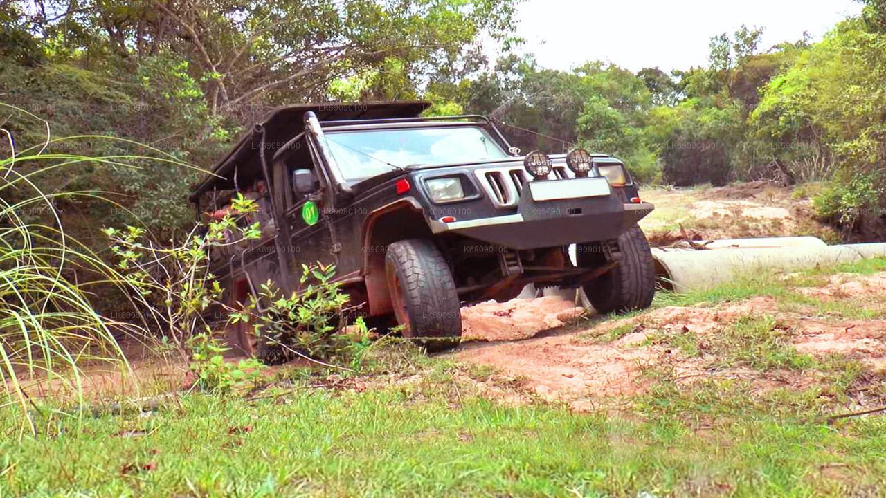 Ella Highland höjdpunkter 4WD Tour från Ella