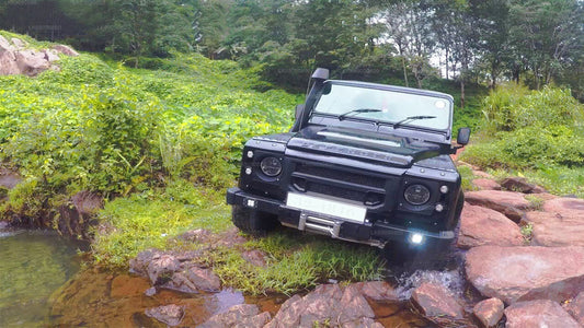 4WD Tour to Diyaluma Falls from Ella