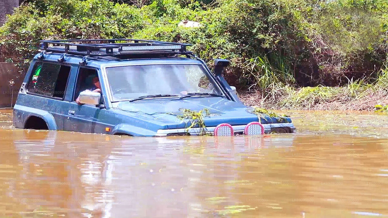 4WD Tour to Diyaluma Falls from Ella