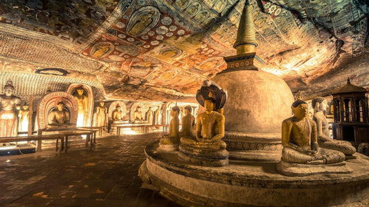Dambulla Cave Temple Entrébiljetter