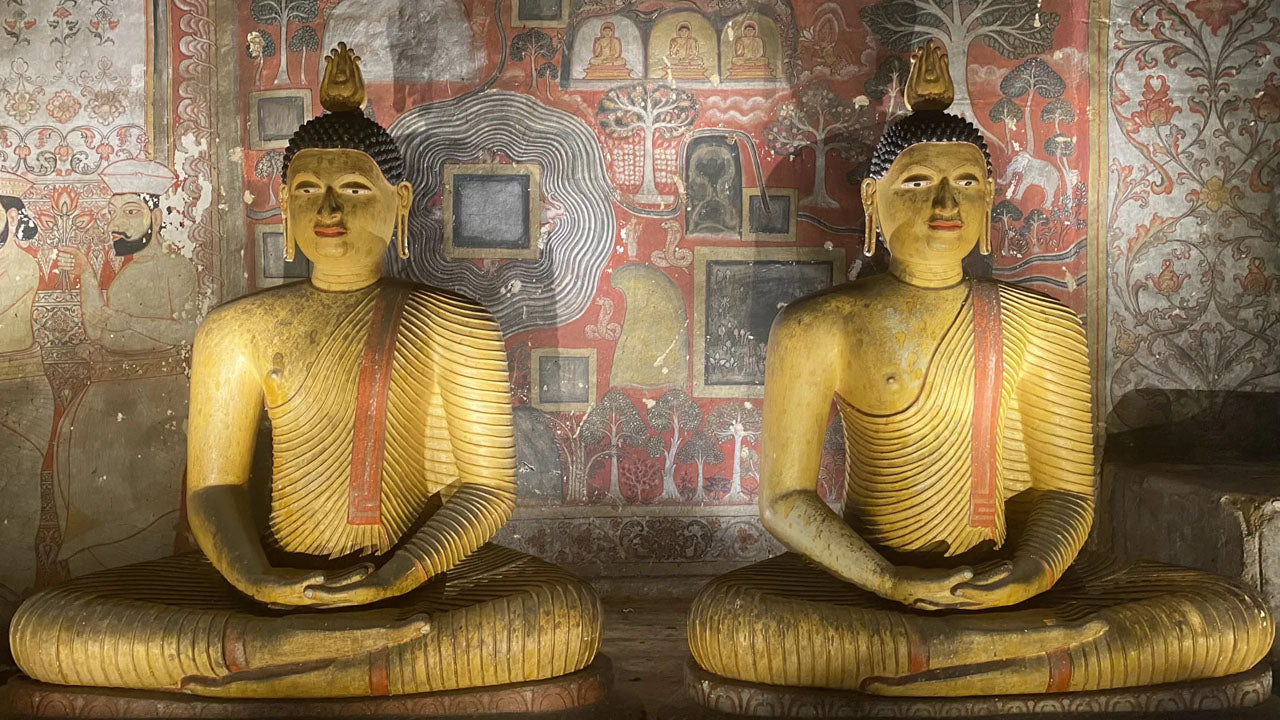 Dambulla Cave Temple Entrébiljetter