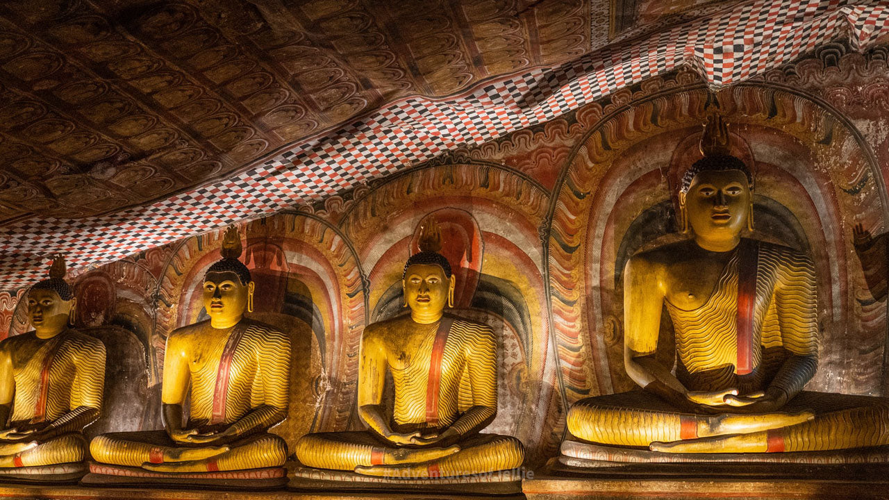 Dambulla Cave Temple Entrébiljetter