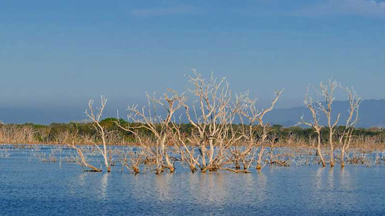 Inträdesbiljetter till Lunugamvehera nationalpark